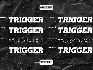 Trigger slab serif font