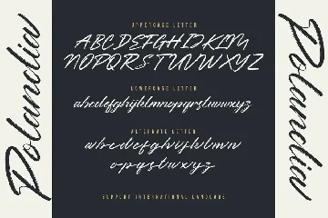 Polandia - The Handbrushed Font