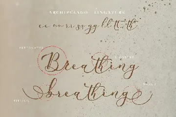 Archipelago International - Christmas Script Font