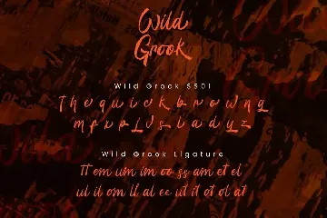 Wild Grook - Brush Font