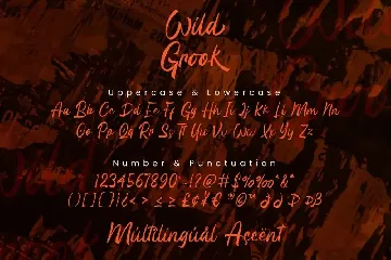 Wild Grook - Brush Font