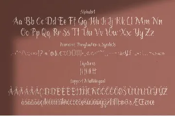 Sinelys Brush Font