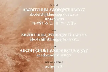 Tangelo font