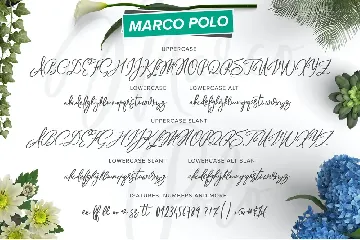 Marco Polo Script Font