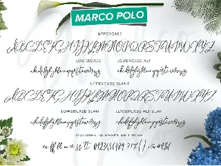 Marco Polo Script Font