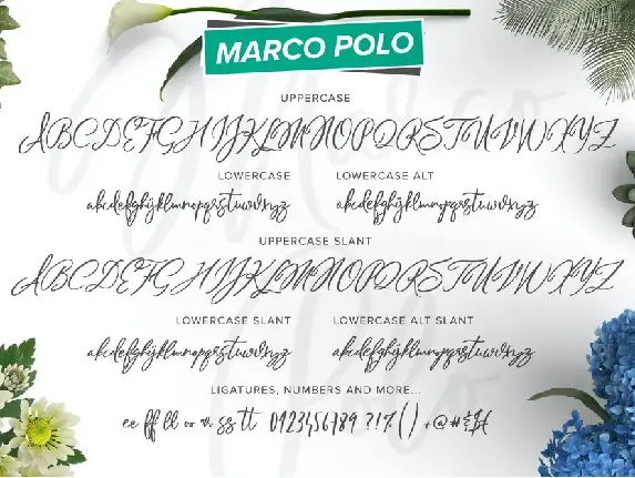 Marco Polo Script Font