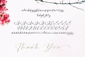 Sarony Handwritten Fonts