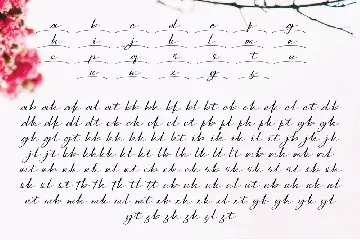 Sarony Handwritten Fonts