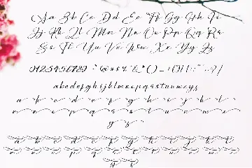 Sarony Handwritten Fonts