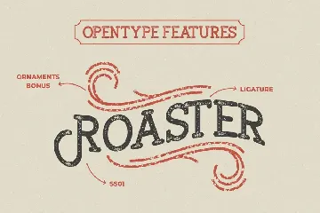 Broster Slab Typeface font