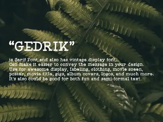 Gedrik Serif Typeface font