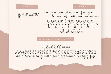 Fioretta Monoline Signature font