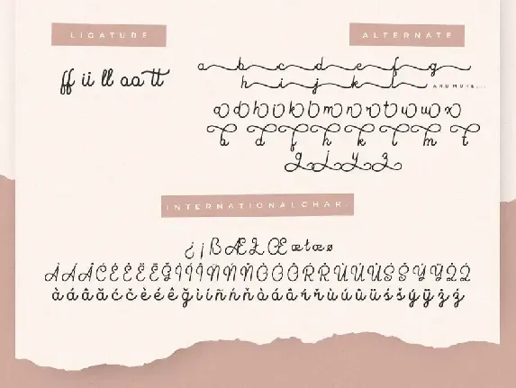 Fioretta Monoline Signature font