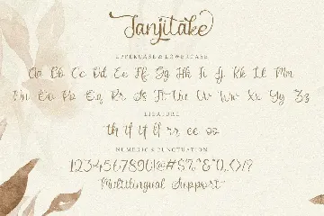 Janjitake font