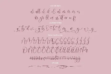 Mirabela Script Font