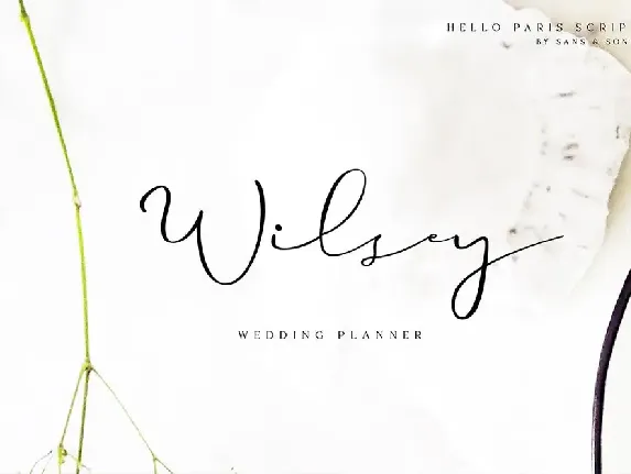 Hello Paris Script font