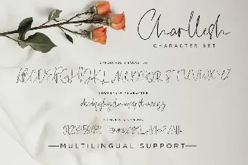 Charllesh Classy Signature Script font