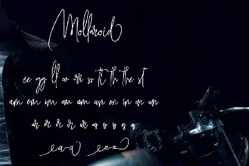 Mollaroid | Signature Font