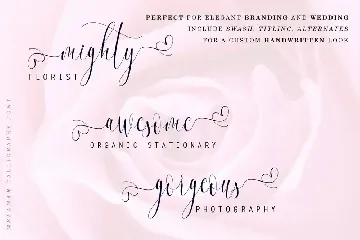 Melamar - Romantic Calligraphy Font