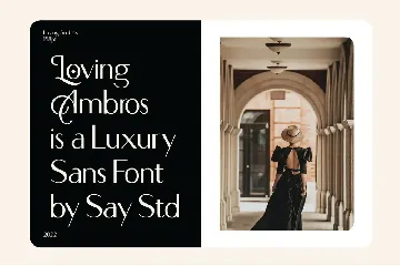 Loving Ambros font