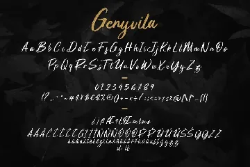 Genyvila Handbrush Business Font