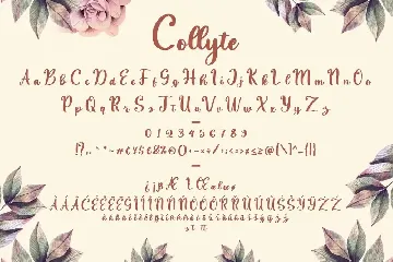 Collyte Handlettering Business Font