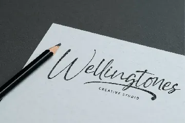 Stringlabs Script - Handwritten Font