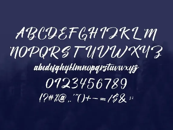 Jatanira Camteg Font