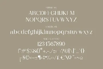 Rihena Modern Serif Font