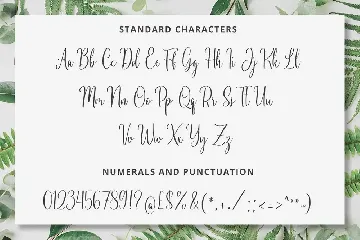 Best Seller - Calligraphy/Cursive Font