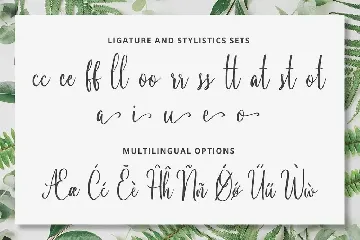 Best Seller - Calligraphy/Cursive Font