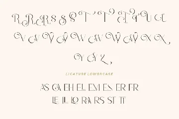 Romantic Serif font