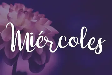 Dulce NiÃ±a Script Font