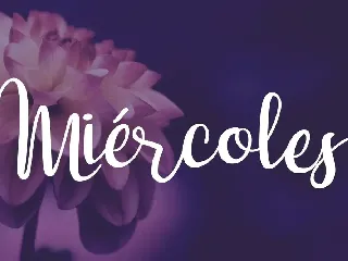 Dulce NiÃ±a Script Font