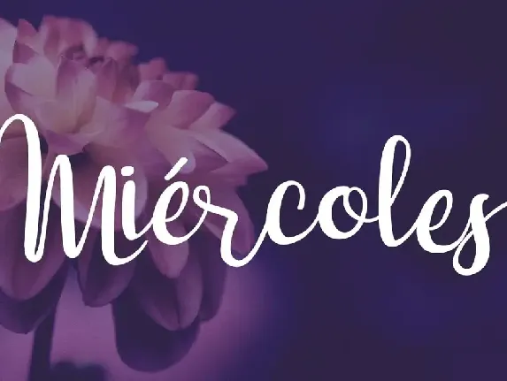 Dulce NiÃ±a Script Font