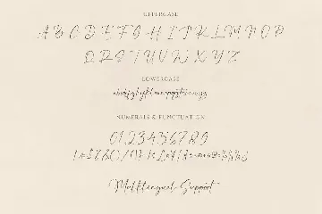 Maestro Briliant Script Signature Handwriting Font