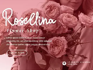 Little Sister - Modern Script fonts