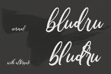 Wonder Villa Script Font