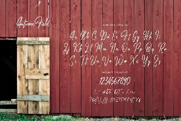 Autumn Field - Handwriting Type font