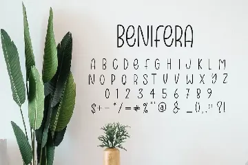 Benifera Font