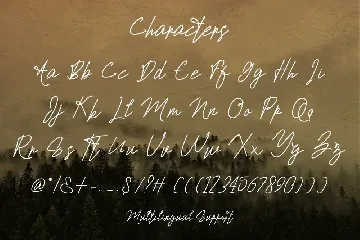 La Nantes Handwritting Signature Font