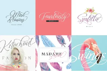 Reshuffle Script Font Luxury Elegant