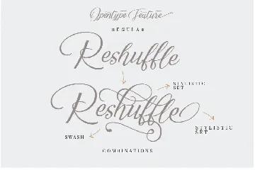 Reshuffle Script Font Luxury Elegant