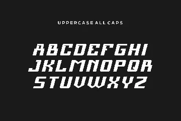 Italic Panter Font