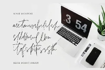 Bliss Script Stylist! font