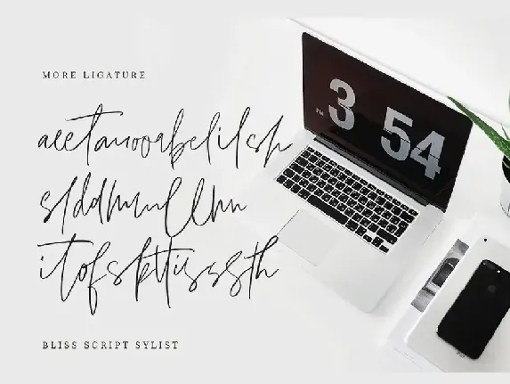 Bliss Script Stylist! font