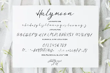 Halymoon Stylish Wedding Font