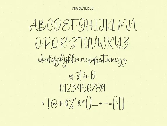 Miguel Sparks Script Font