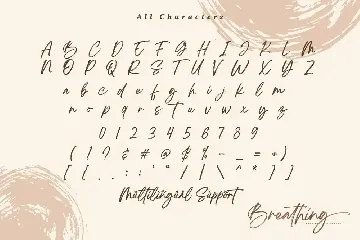 Breathing Brush Signature Font