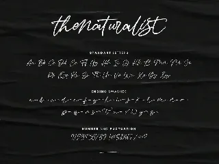 Thenaturalist Caligraphy Wedding Font